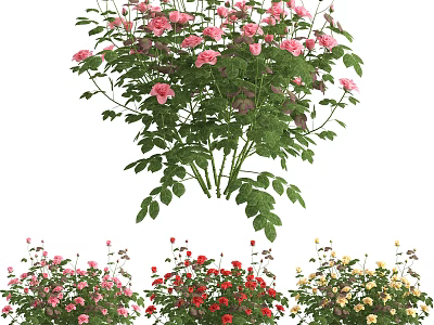 Beautiful Vase with Pink Red Yellow Flowers and Green Leaves for Home Decor 3d model