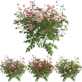 Beautiful Vase with Pink Red Yellow Flowers and Green Leaves for Home Decor