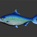 Blue Green Fish With Shiny Scales 3D Render On Dark Isolated Background With Reflection 3d model