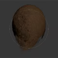 Realistic Human Head Organ With Detailed Brown Hair And 3D Rendered Natural Texture
