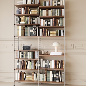 Modern Bookshelf Bookcase Storage Rack Book Ornaments 3d model