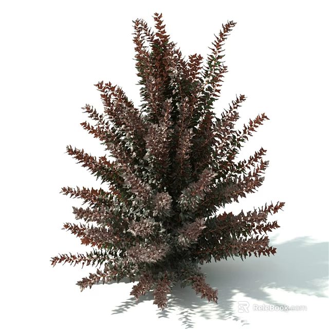 Bushy Dense Shrub With Deep Purple And Green Leaves For Garden Landscape 3d model 