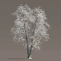Snow Covered Bare Branches On Winter Tree With Gray Background 3d model