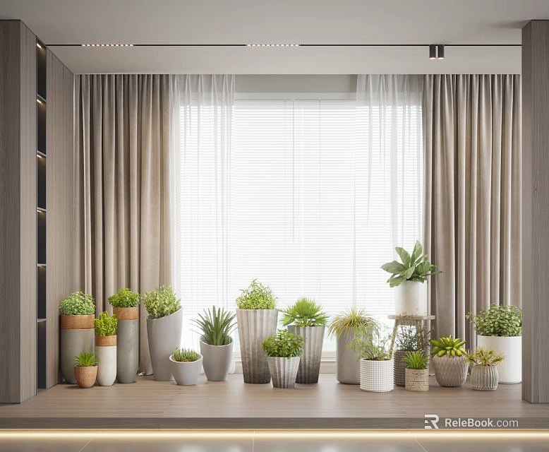 Modern Indoor Bonsai Potted Plants Display With Various Pots By Bright Window 3d model 