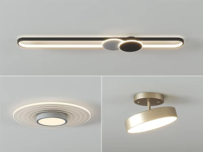 Modern Minimalist Ceiling Lights With Different Shapes And Metal Frame Design 3d model