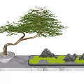 Decorative Bonsai Garden Ornament With Curved Trunk Green Foliage Stones And Rock Formations