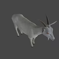 Realistic White Goat With Curved Horns And Beard Standing On Neutral Background