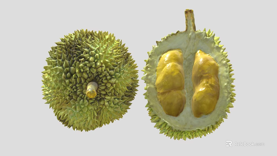 Fresh Whole and Cut Open Durian Fruit with Spiky Exterior and Yellow Flesh 3d model 