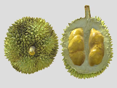 Fresh Whole and Cut Open Durian Fruit with Spiky Exterior and Yellow Flesh 3d model