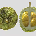 Fresh Whole and Cut Open Durian Fruit with Spiky Exterior and Yellow Flesh