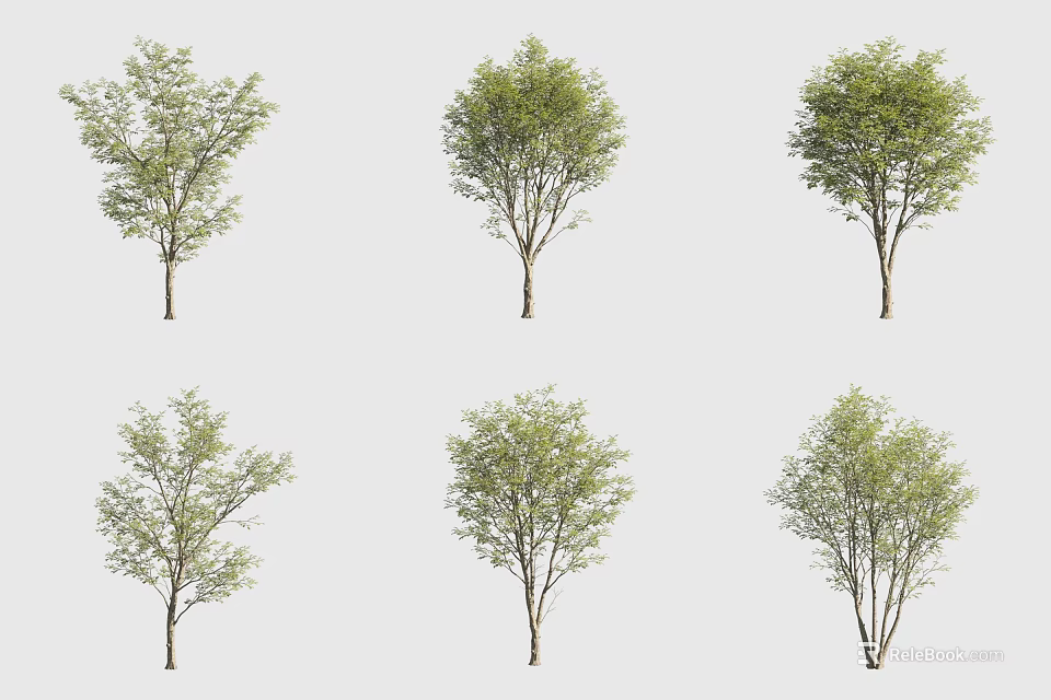 Various Tree Varieties With Distinct Growth Habits Branch Patterns And Foliage Characteristics 3d model
