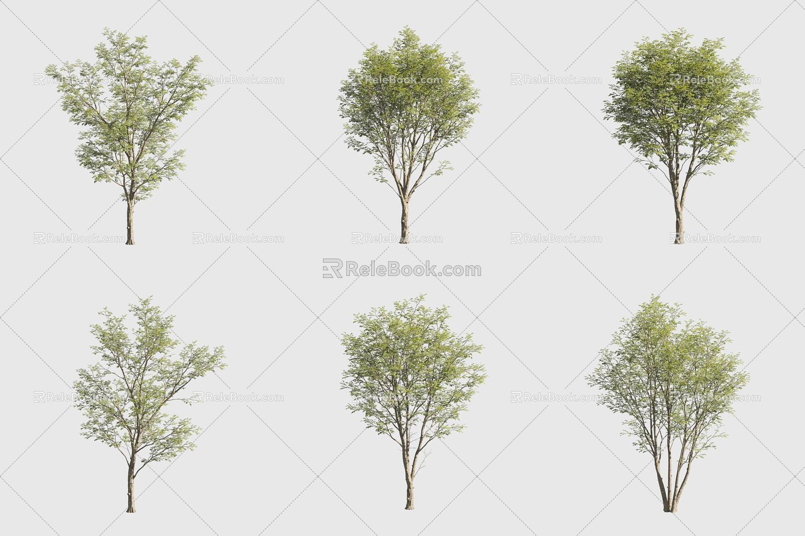 Green sandalwood cash cow landscape tree 3d model