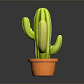 Lush Green Cactus in Orange Ceramic Pot on Dark Reflective Surface 3d model