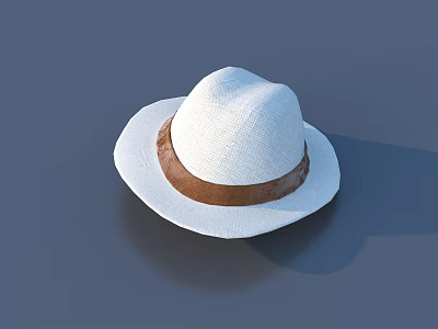 White Straw Hat With Brown Band For Casual Summer Outdoor Fashion Wear 3d model