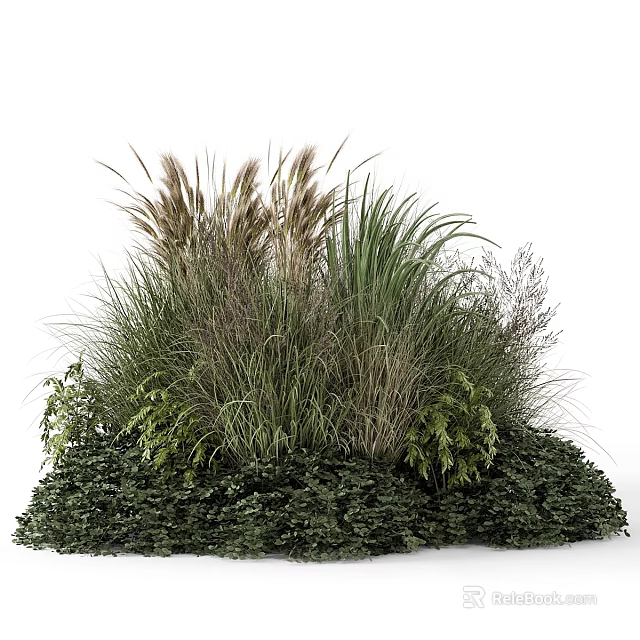 Lush Garden Flowers And Plants With Various Grass Species And Dense Green Foliage 3d model 