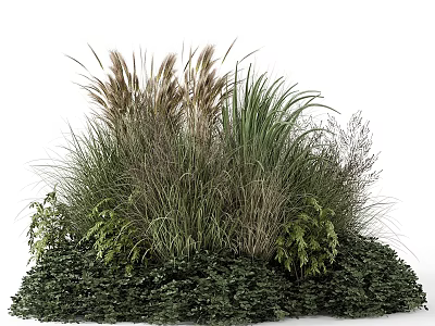 Lush Garden Flowers And Plants With Various Grass Species And Dense Green Foliage 3d model