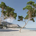 Curved Trees On Sandy Beach With Blue Sea Mountain And Clear Sky Background