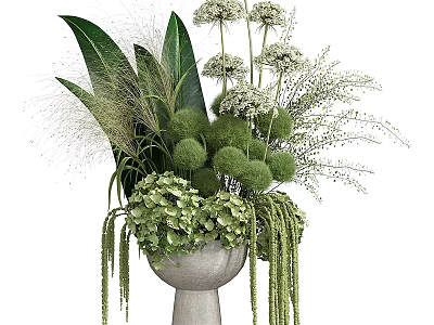 Elegant Decorative Ornament Arrangement With Lush Green Foliage White Flowers And Spherical Plants 3d model