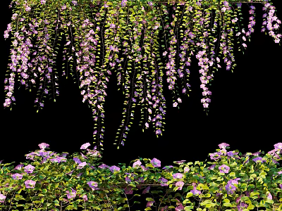 Lush Hanging Vines With Purple Flowers And Green Leaves In Garden 3d model