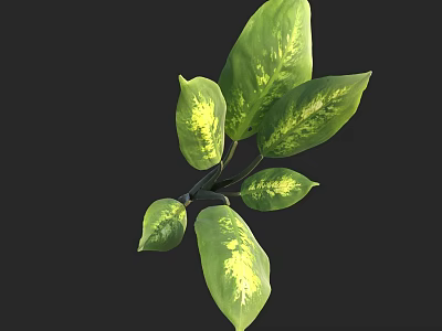 Fresh Green Leaves with Yellow Spots and Multiple Foliage on Dark Background 3d model