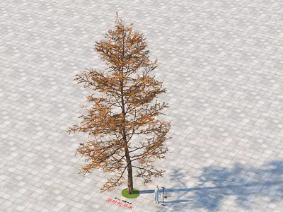 Tall Arbor With Brown Leaves Trunk On Gray Brick Pavement Green Base Person Nearby Shadow 3d model