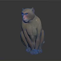 Realistic 3D Rendered Monkey with Pink Face Sitting on Smooth Surface against Gradient Gray Background