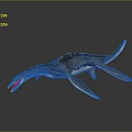Detailed Plesiosaur Dinosaur Model With Long Neck Flippers Scaly Skin And Open Mouth