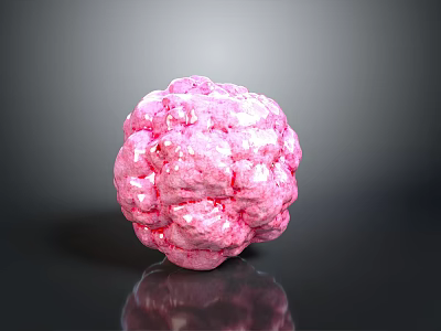 Pink Human Organ With Hairy Surface And Textured Structure On Dark Background 3d model