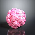 Pink Human Organ With Hairy Surface And Textured Structure On Dark Background