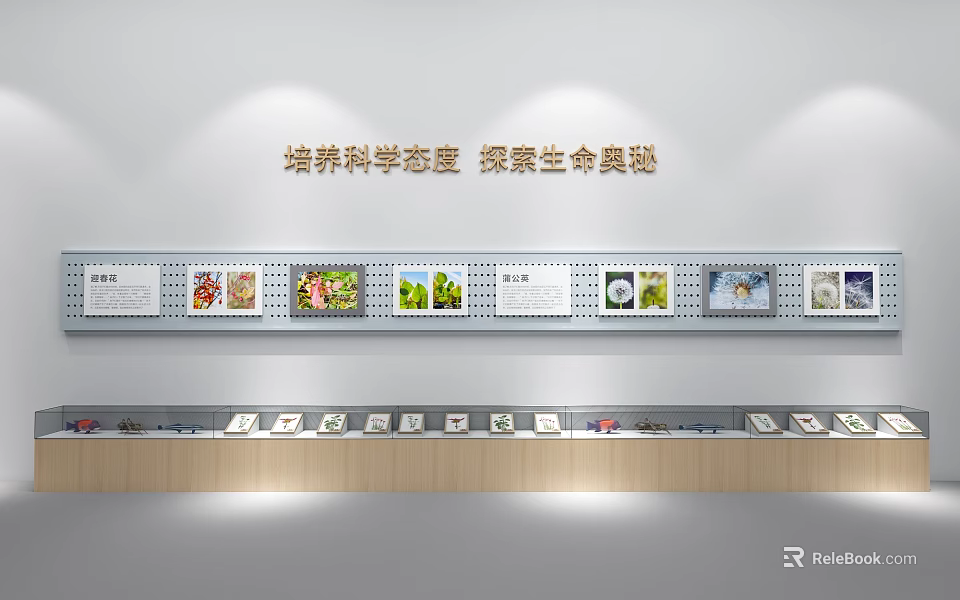 School Science Exhibition Area For Cultivating Scientific Attitude And Exploring Life Mysteries 3d model 