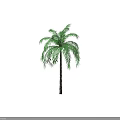 Two Palm Trees With Green Leaves And Brown Trunks On White Background