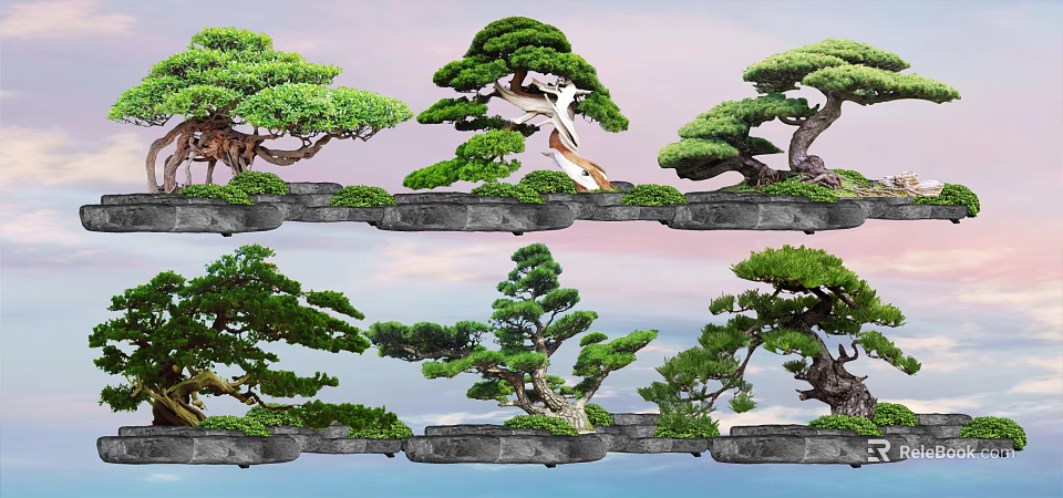 Bonsai Potted Plants With Various Styles Green Foliage And Stone Bases 3d model 