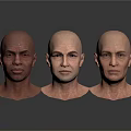 Three Bald Human Head 3D Models Showing Detailed Facial Organs And Features