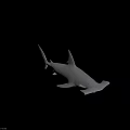 Realistic Hammerhead Shark Swimming With Open Mouth In Dark Ocean Background