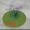 Purple Flowers With Green Leaves Growing On Circular Lawn Over Stone Pavement