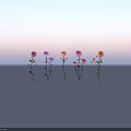 Beautiful Multicolored Flowers With Pink Purple Orange Blooms And Green Leaves