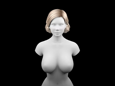 3D Rendered Human Torso Model Featuring Realistic Breasts and Blonde Hair 3d model