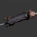 Brown and Purple Dog 3D Model Standing on Dark Shiny Background Surface