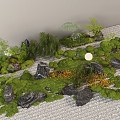 Plant combination courtyard sketch moss micro-terrain plant pile landscape landscaping 3d model