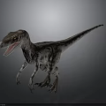 Velociraptor Dinosaur with Spotted Skin Red Eyes Open Mouth Standing Pose Against Dark Background