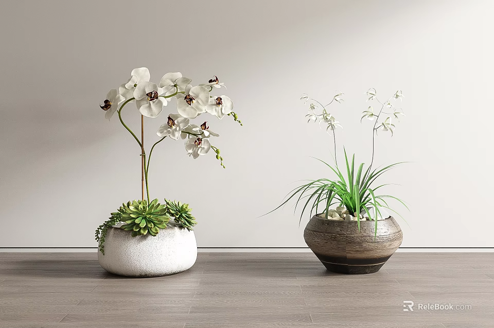 Bonsai Potted Plants with White Orchids Succulents and Slender Green Leaves in Clay Pots 3d model 