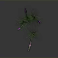 Purple Sea Anemone With Green Grass Like Tentacles Growing On Gray Background
