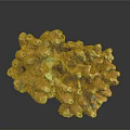 Colorful Coral Structure With Yellow Orange Purple Porous Texture And Holes
