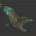 Brown Walrus With Open Mouth And Tusks In Lying Posture On Dark Background