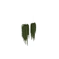 Hanging Basket Plants With Lush Green Trailing Leaves For Home Decor