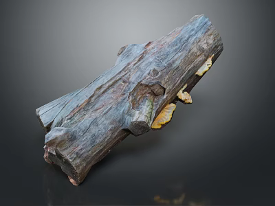 Natural Wood And Stone Decorative Sculpture With Organic Texture And Artistic Details 3d model