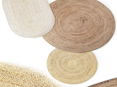 Woven Round Rugs in Natural Beige Brown Tones for Home Living Decor 3d model