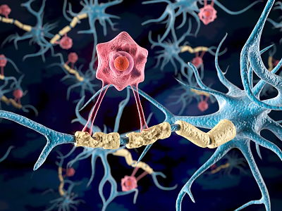 Advanced 3D Medical Device Visualizing Neuron Synaptic Connections And Cell Structures 3d model