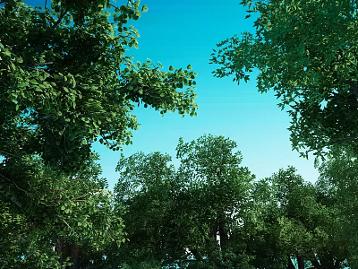 Scenic Natural Landscape With Lush Green Trees And Clear Blue Sky 3d model