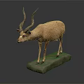 Antelope Taxidermy Mount Standing With Long Horns On Stone Base Gray Background